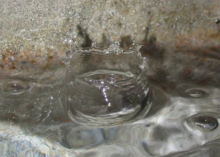 goutte.jpg